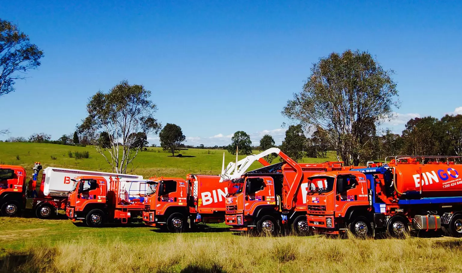 Bingo Bins Sydney 3.webp