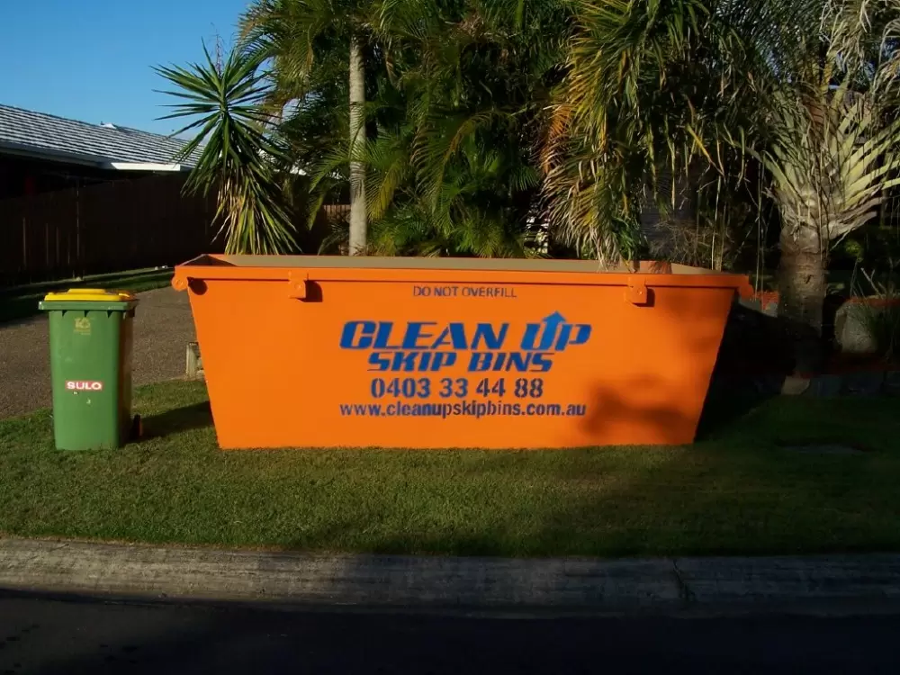 Cleanup Skip Bins 0.webp